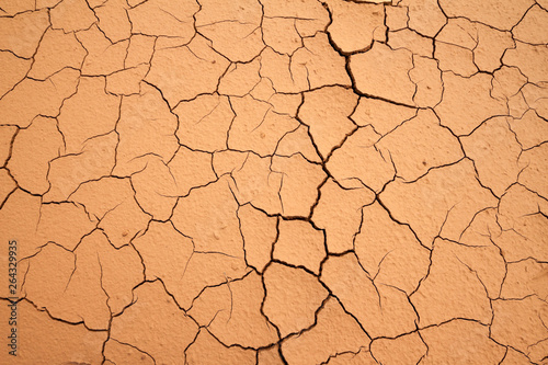 Dry cracked earth background, soil ground texture