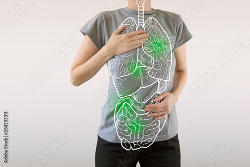 highlighted green internal organs / virus infection and medicine concept photo