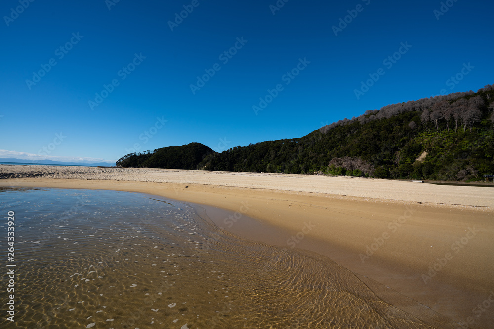 Fototapeta premium The Abel Tasman National Park beach on a beautiful sunny day
