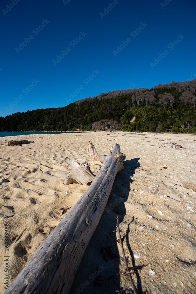 The Abel Tasman National Park beach on a beautiful sunny day The Abel Tasman National Park beach on a beautiful sunny day
