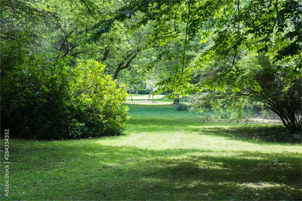 Obraz premium arboretum de Balaine dans l'Allier en France