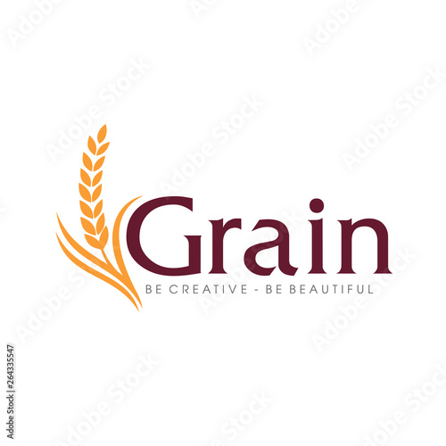 Wheat rice agriculture logo Inspiration vector