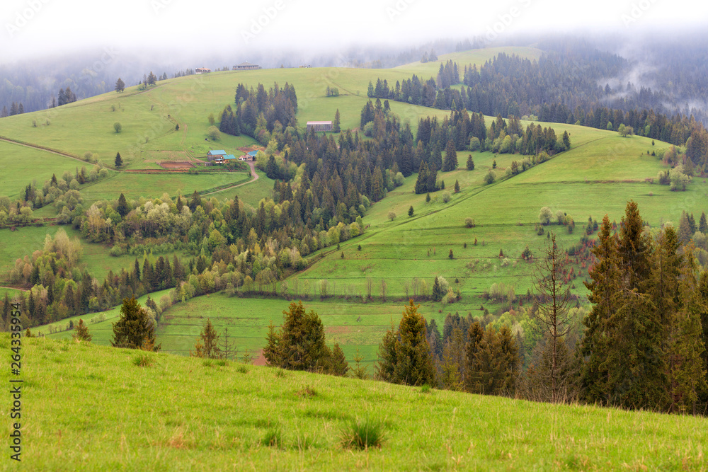 Beautiful landscapes of the Carpathian Mountains in the early morning and a dirt road running downhill.