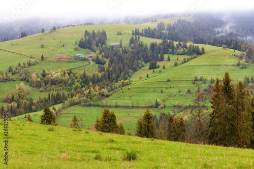 Beautiful landscapes of the Carpathian Mountains in the early morning and a dirt road running downhill.