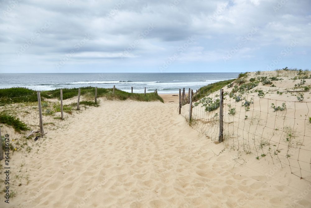 Sandy beach on the Bay of Biscay, landscape of the Atlantic coast of France. French Silver Coast. Pathway and mesh fencing with wooden posts and grass