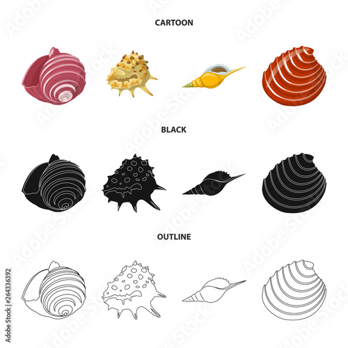 Isolated object of animal and decoration symbol. Set of animal and ocean stock vector illustration.