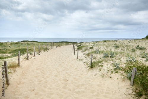 Sandy beach on the Bay of Biscay  landscape of the Atlantic coast of France. French Silver Coast. Pathway and mesh fencing with wooden posts and grass