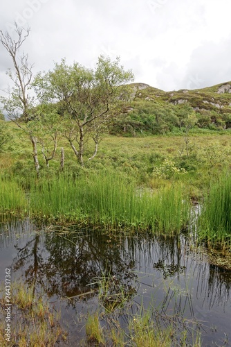 Schottland - Inverpolly-Naturreservat - Glen Canisp photo