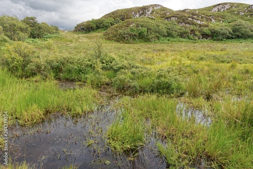 Schottland - Inverpolly-Naturreservat - Glen Canisp photo