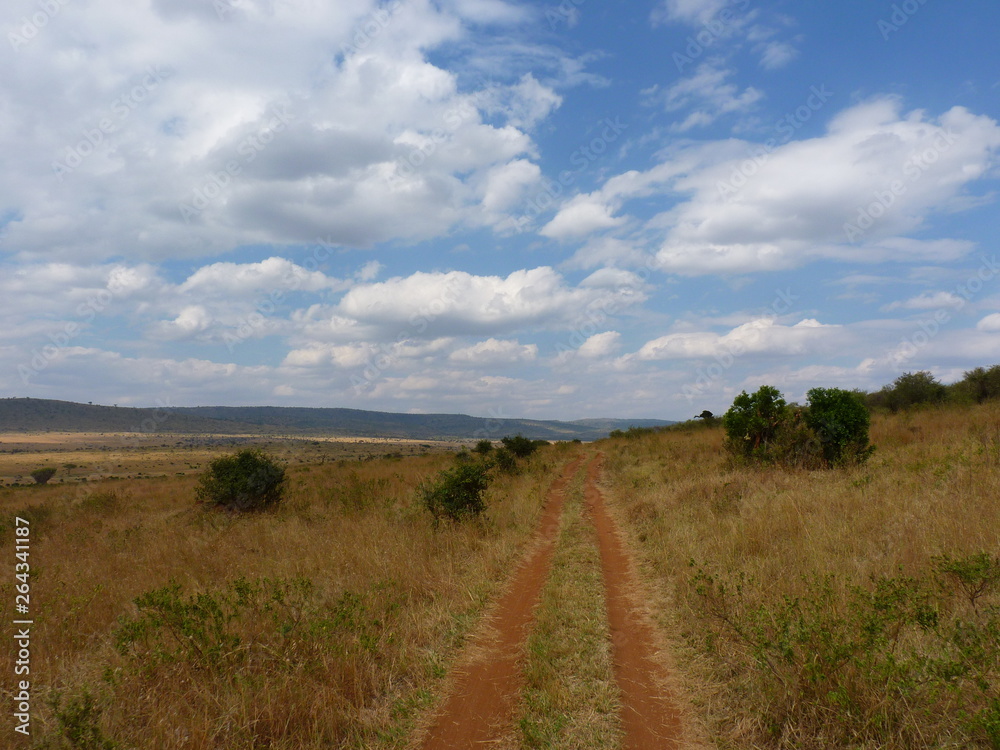 Maasai Mara, Kenia, safari