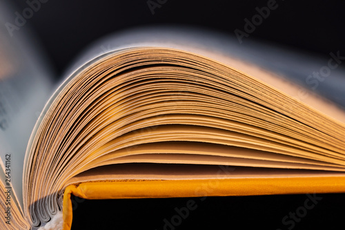 Book pages close up on a light background. Macro photography in bright colors is suitable as a background on the topics of reading, literature, book business, book publishing. 