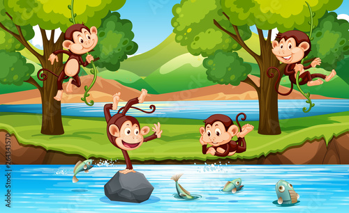 Monkey in the forest