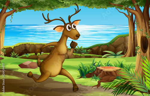A deer running in forest