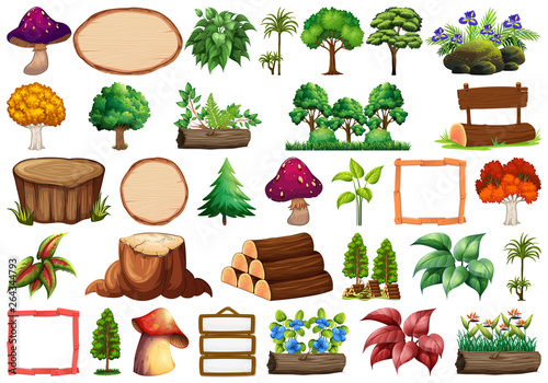 Set of nature element