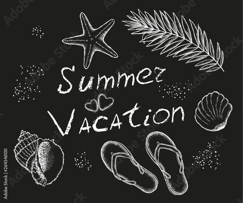 Summer vacation. Shells, st...