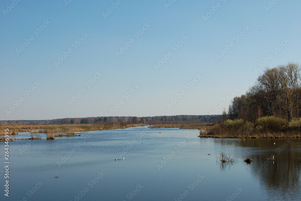 River Yauza  in national park Losiny Ostrov near Moscow, Russia