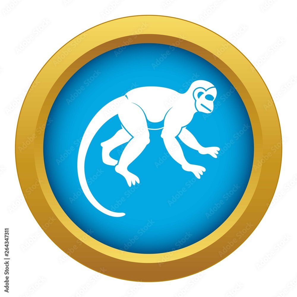 Capuchin monkey icon blue vector isolated on white background for any design Capuchin monkey icon blue vector isolated on white background for any design