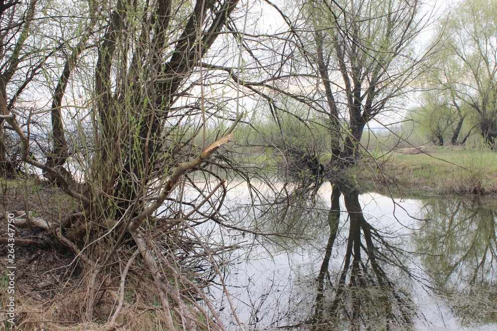 river landscape water