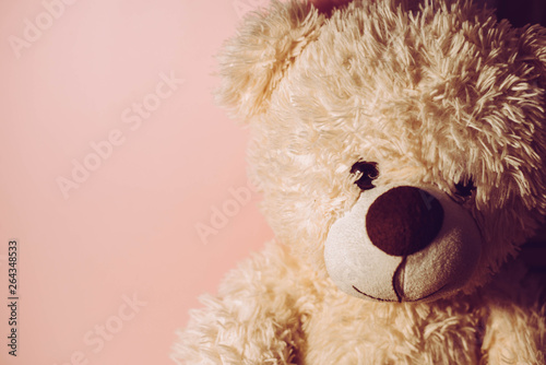 Toy teddy bear on a pink background