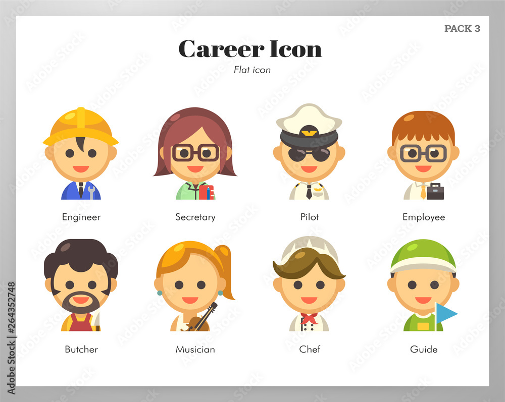 Career icon flat pack