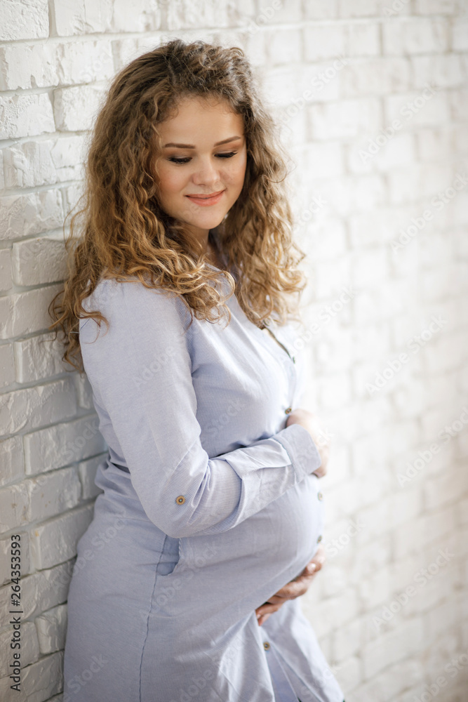 Obraz premium Beautiful pregnant woman sits and touches belly with hands, pregnancy concept