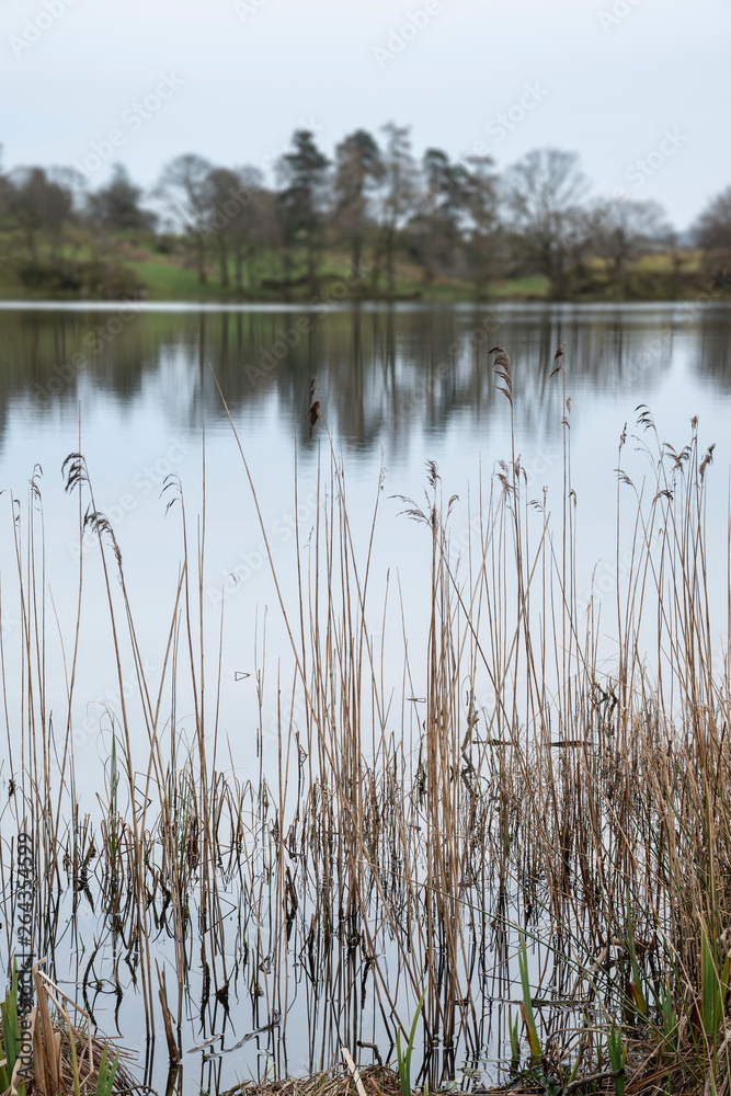 Mody landscape image of Loughrigg Tarn in UK Lake District during dramatic evening in Spring Mody landscape image of Loughrigg Tarn in UK Lake District during dramatic evening in Spring
