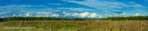 Long ridge of clouds against the blue sky, in the foreground field overgrown with grasses, in the background deciduous forest