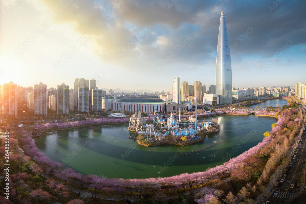 Sunset over cherry blossom park and tower background  in Seoul city