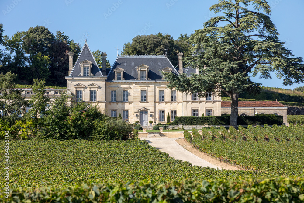Vineyard of Chateau Fonplegade - name (literally fountain of plenty) was derived from the historic 13th century stone fountain that graces the estate's vineyard. St Emilion, France