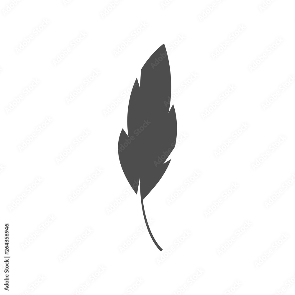 Feather graphic design template vector isolated