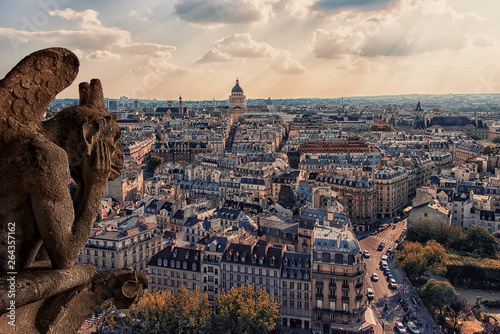 Photography Paris roofs viewed from Notre-Dame cathedral in Paris
