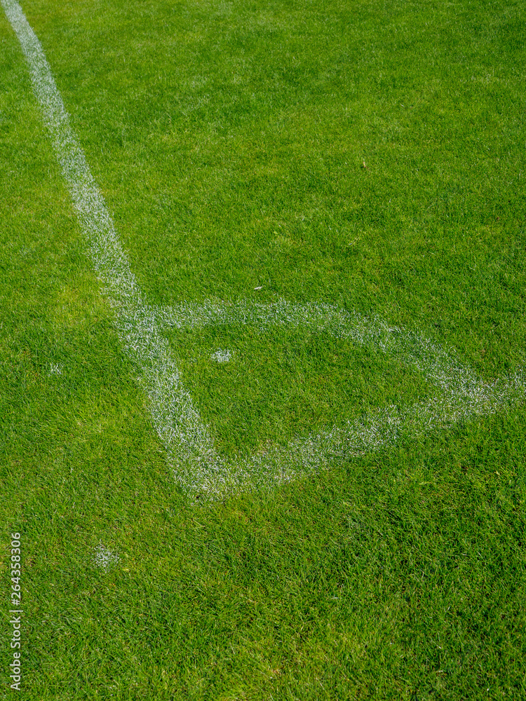 Soccer Field Painting