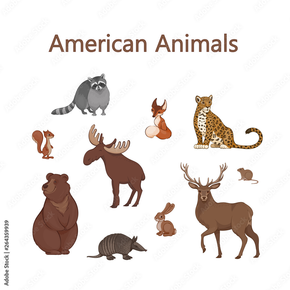 Set of cartoon cute American animals. Raccoon, fox, jaguar, squirrel, elk, bear, armadillo, hare, deer, vole