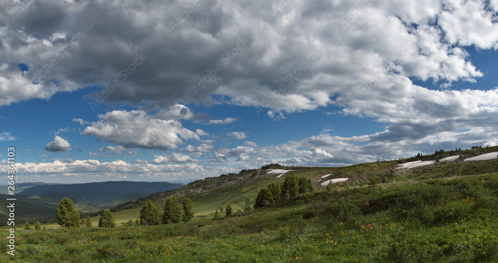 Alpine meadows in Altai