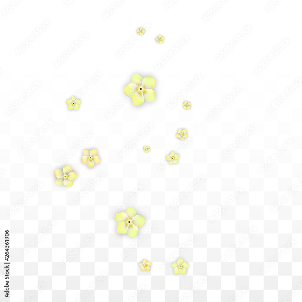 Vector Realistic Yellow Flowers Falling on Transparent Background. Spring Romantic Flowers Illustration. Flying Petals. Sakura Spa Design. Blossom Confetti. Design Elements for Wedding Decoration. Vector Realistic Yellow Flowers Falling on Transparent Background. Spring Romantic Flowers Illustration. Flying Petals. Sakura Spa Design. Blossom Confetti. Design Elements for Wedding Decoration.