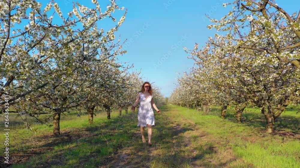 young redhead female walking and having fun in blossoming cherry garden young redhead female walking and having fun in blossoming cherry garden