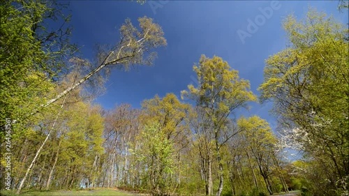 Spring Impressions from the Goethe Park in Berlin-Wedding from April 21, 2015, Germany photo