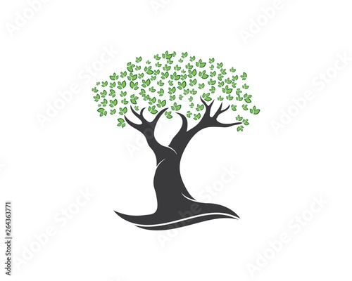 Tree leaf vector logo design, eco-friendly