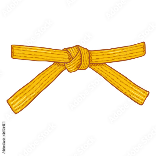 Vector Cartoon Yellow Karate Belt