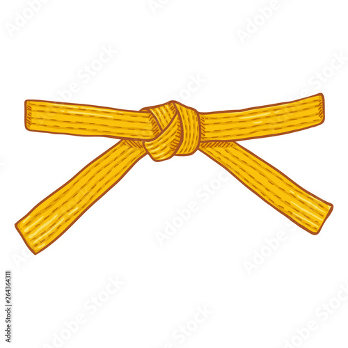 Vector Cartoon Yellow Karate Belt photo