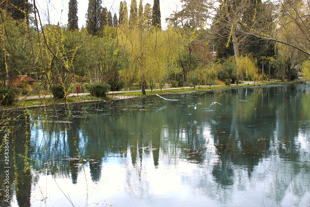 Pond in the park, New Athos, Abkhazia