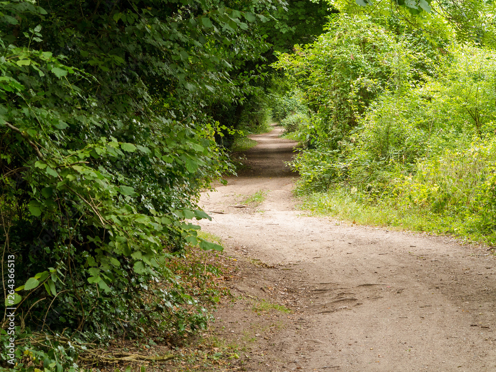 Naklejka premium Harrow Way - North of Overton