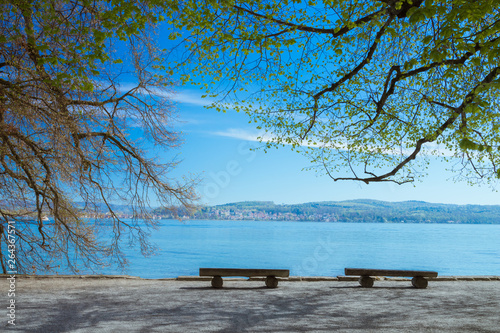 Photography Wooden benches on Mainau island on Lake Constance (Bodensee), facing the water o