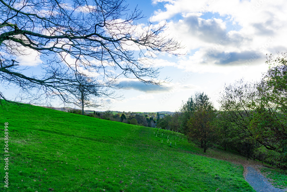 Green field landscape in cloudy blue sky day Green field landscape in cloudy blue sky day