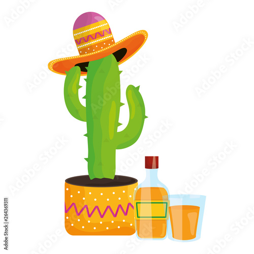 cactus plant with mexican hat and tequila photo