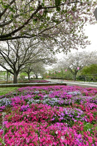 Wallpaper Mural 静峰ふるさと公園 Torontodigital.ca