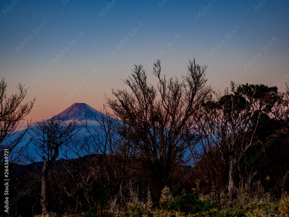 【静岡県伊豆半島】伊豆山稜線歩道から望む富士山の夕景【秋】