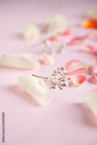 Fototapeta Naklejka Na Ścianę i Meble -  Orange, rose, and white roses petals on the pink background
