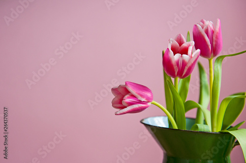 Fototapeta Naklejka Na Ścianę i Meble -  Pink tuplis flowers in green vase on the pink background