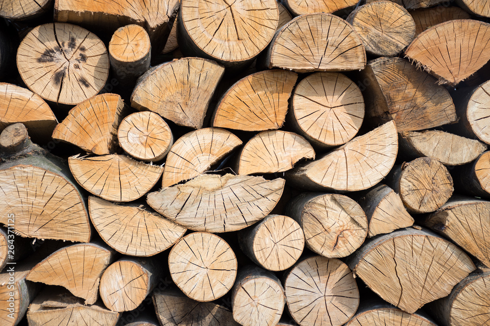 Pile of wood logs ready for winter. Pile of wood logs ready for winter.